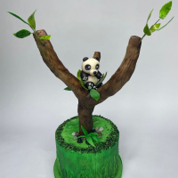 CI21-June-Junior-Gallery-GK029-1