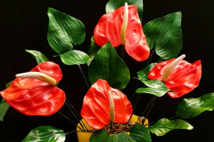 CIV21S-Gallery-AV022-2